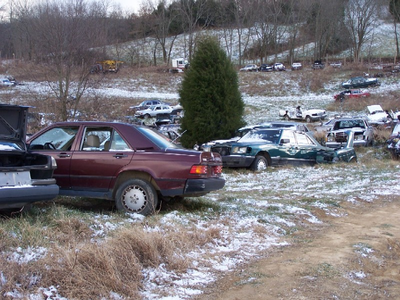Illustration for article titled Over 1,000 Vintage Mercedes-Benzes Await The Cruel Jaws Of The Crusher In Kentucky